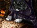 My_Cat__s_a_Wizard_by_Emortal982.jpg
